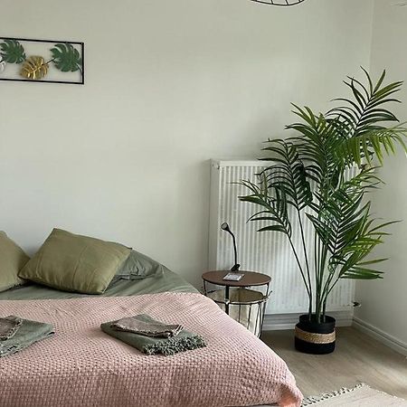 Studio T A 5Mn Euro Airport Avec Terrasse Saint-Louis  Buitenkant foto