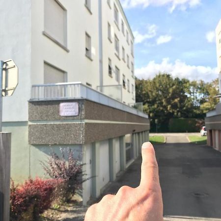 Studio T A 5Mn Euro Airport Avec Terrasse Saint-Louis  Buitenkant foto