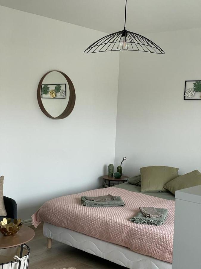 Studio T A 5Mn Euro Airport Avec Terrasse Saint-Louis  Buitenkant foto