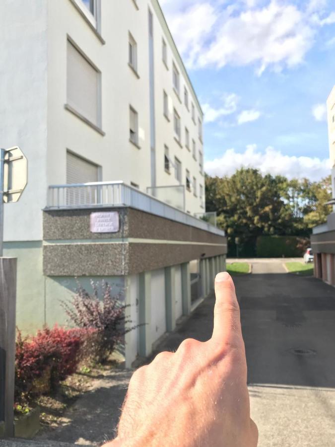 Studio T A 5Mn Euro Airport Avec Terrasse Saint-Louis  Buitenkant foto